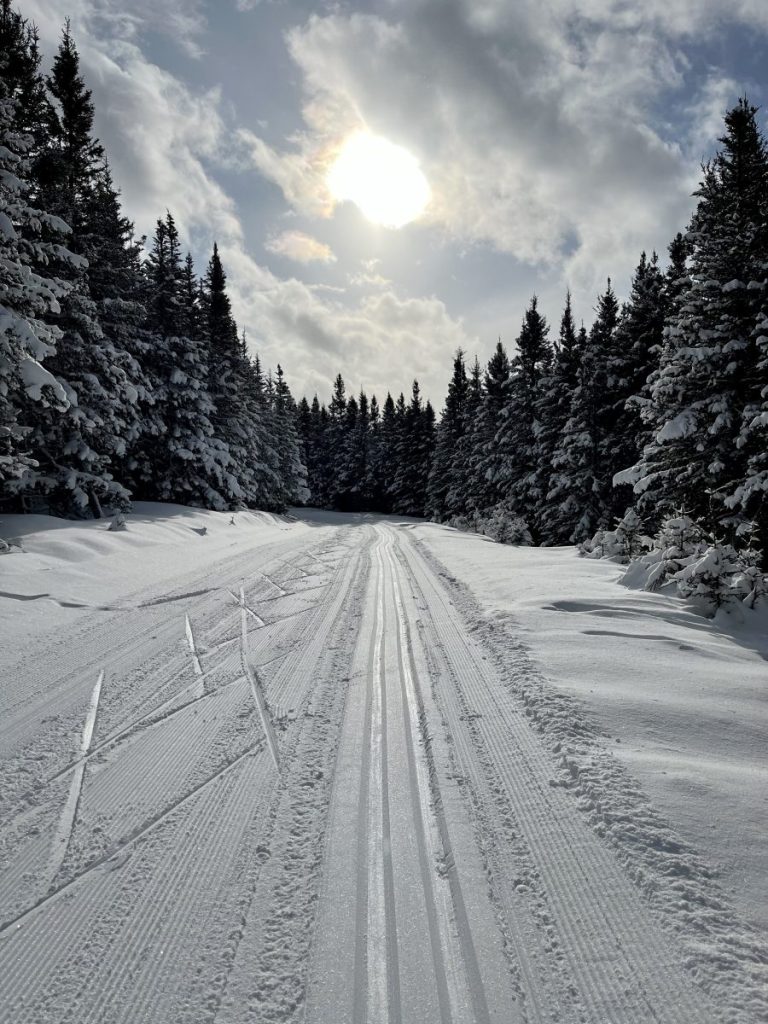 Groomed ski tracks through the forest