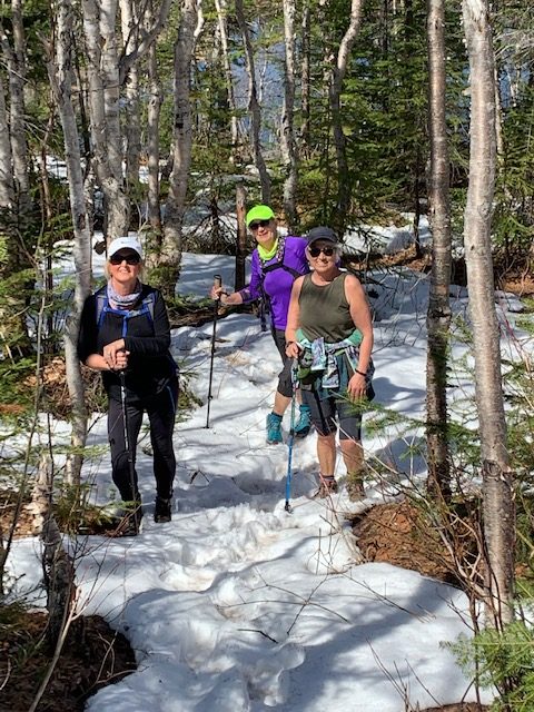 Spring trail scene