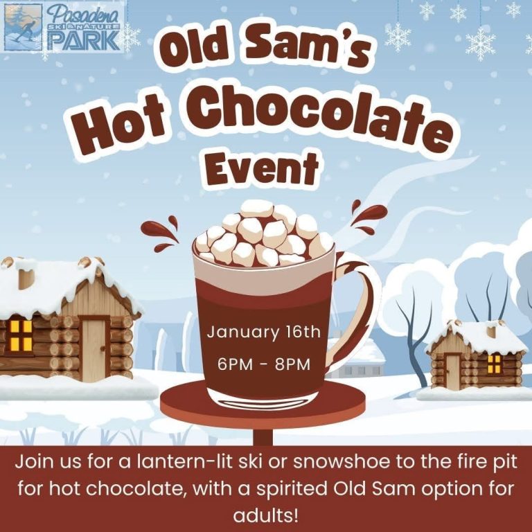 Chocolate and s'mores event poster