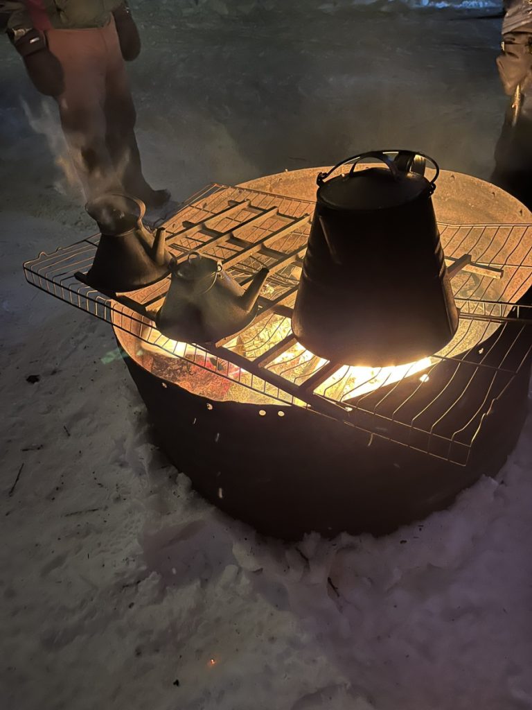 Winter Carnival activities