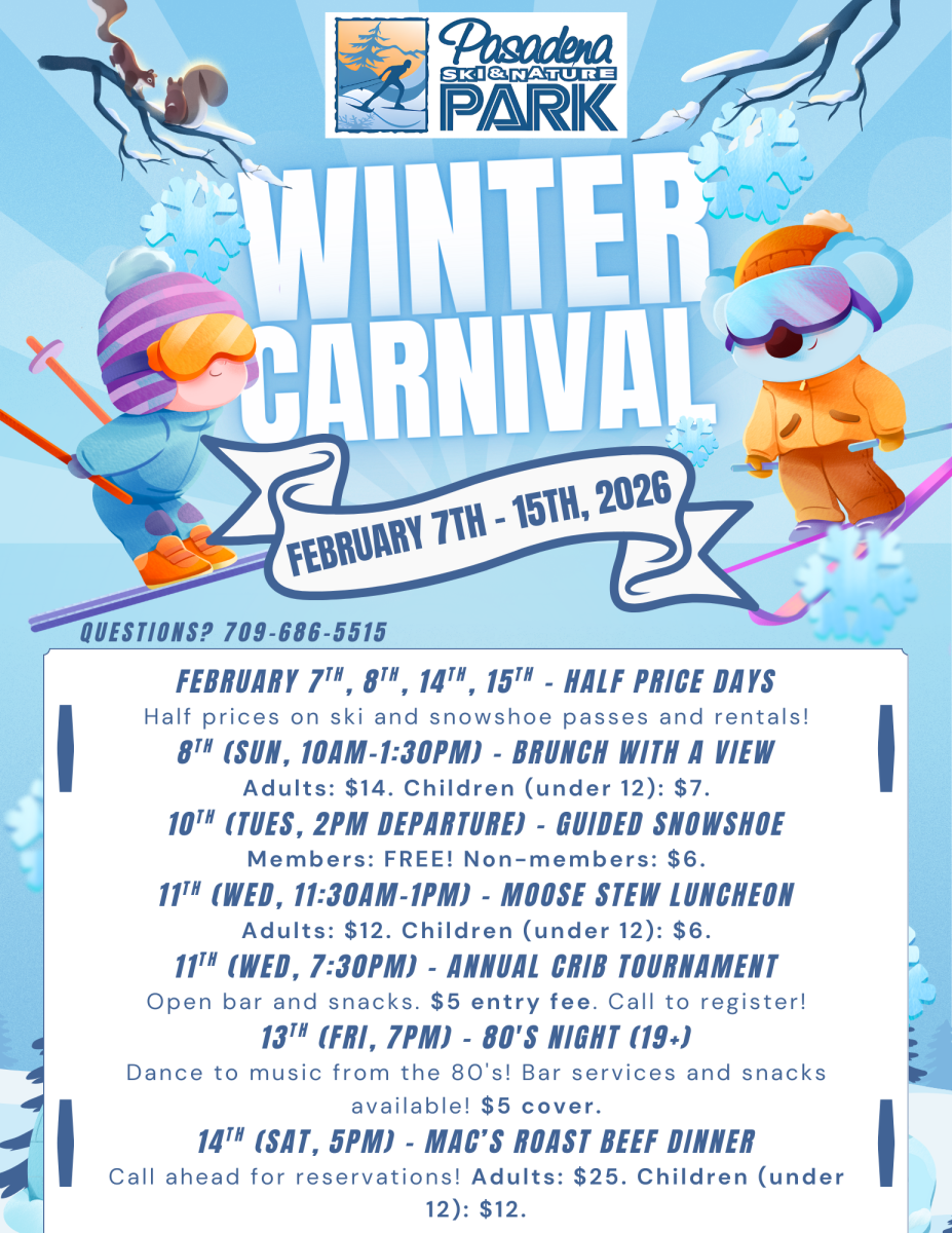 Winter Carnival poster