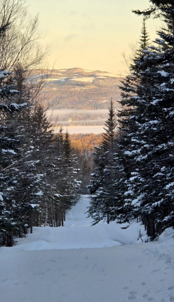 The Looper Run trail