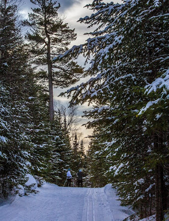 View from the Lone Pine trail