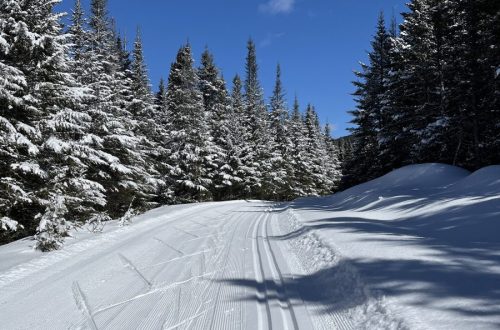 Ski tracks on the Caribou trail