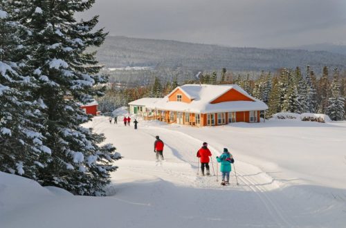 Social gathering at the chalet